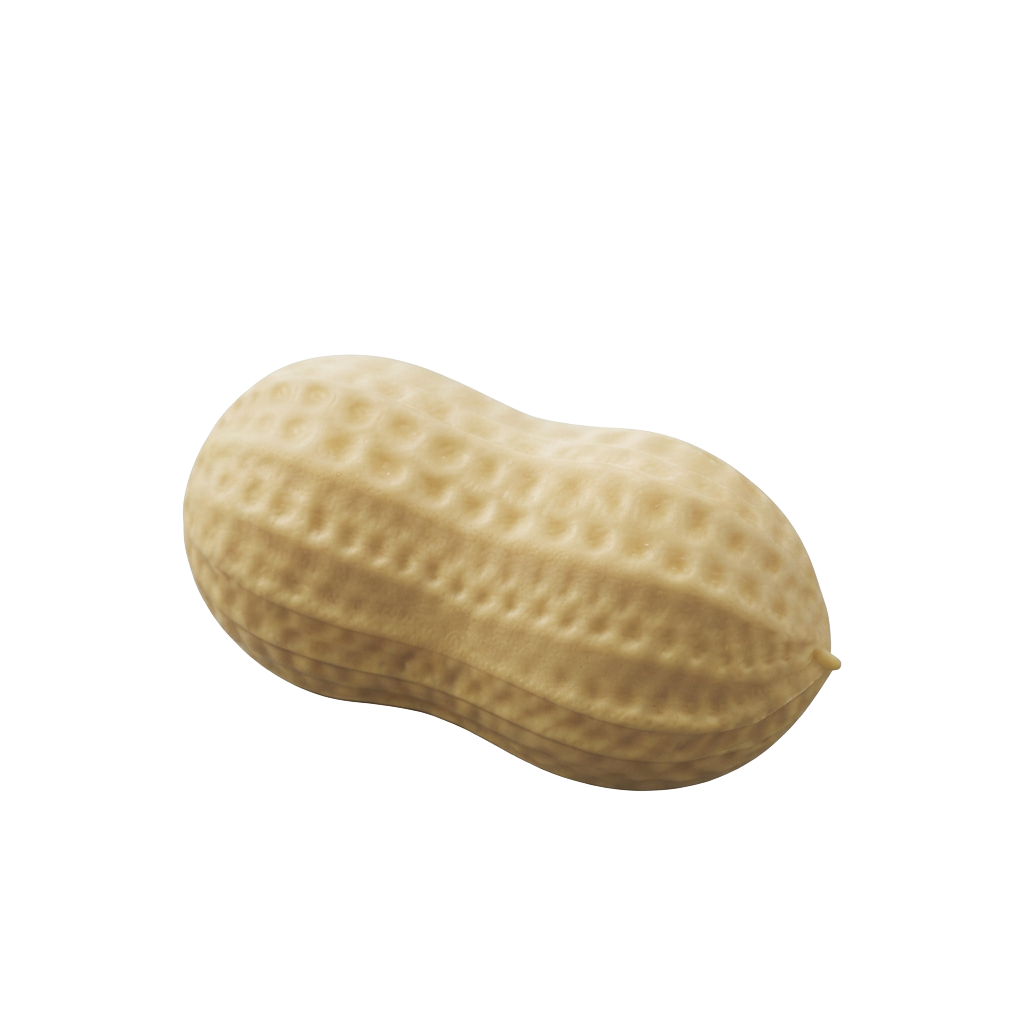 Peanut Squishy Toy